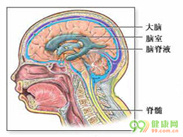 急性播散性脑脊髓炎